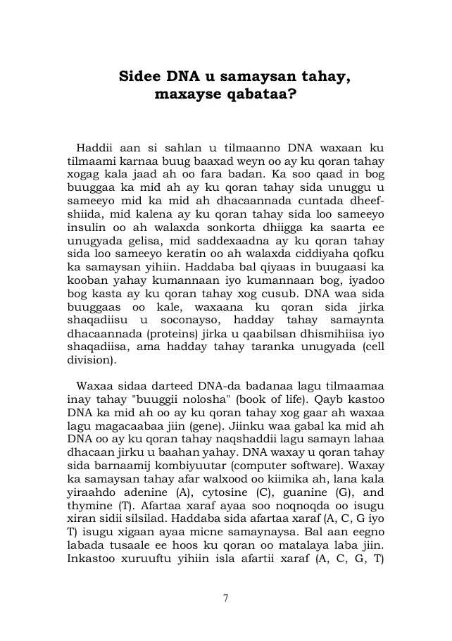 Page 7